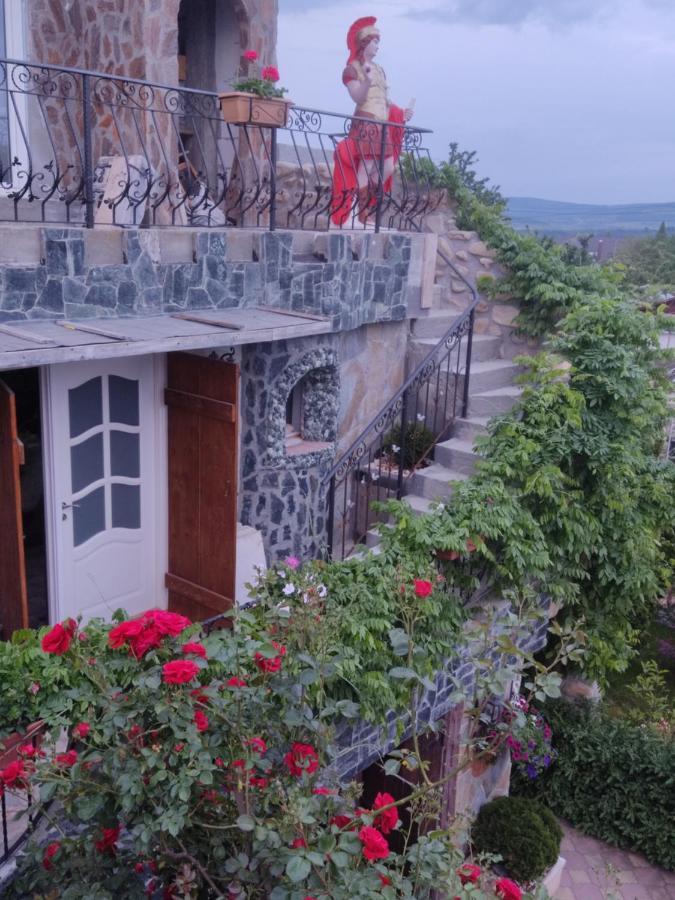 Vila Castel Ciurbesti Pokoj fotografie